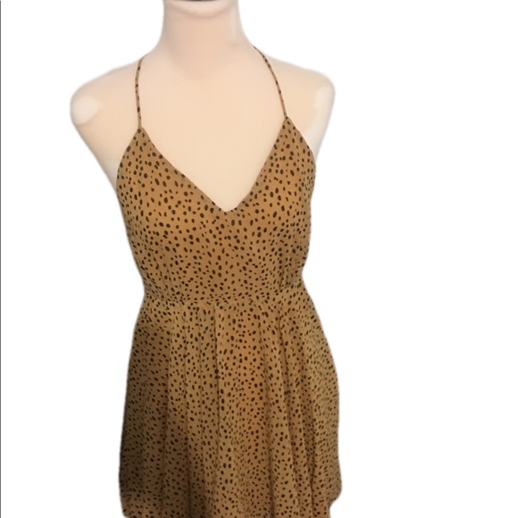 Leopard Print Dress - Picture 1 of 2